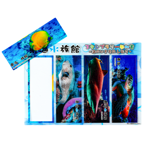 高透明PP0.3mm